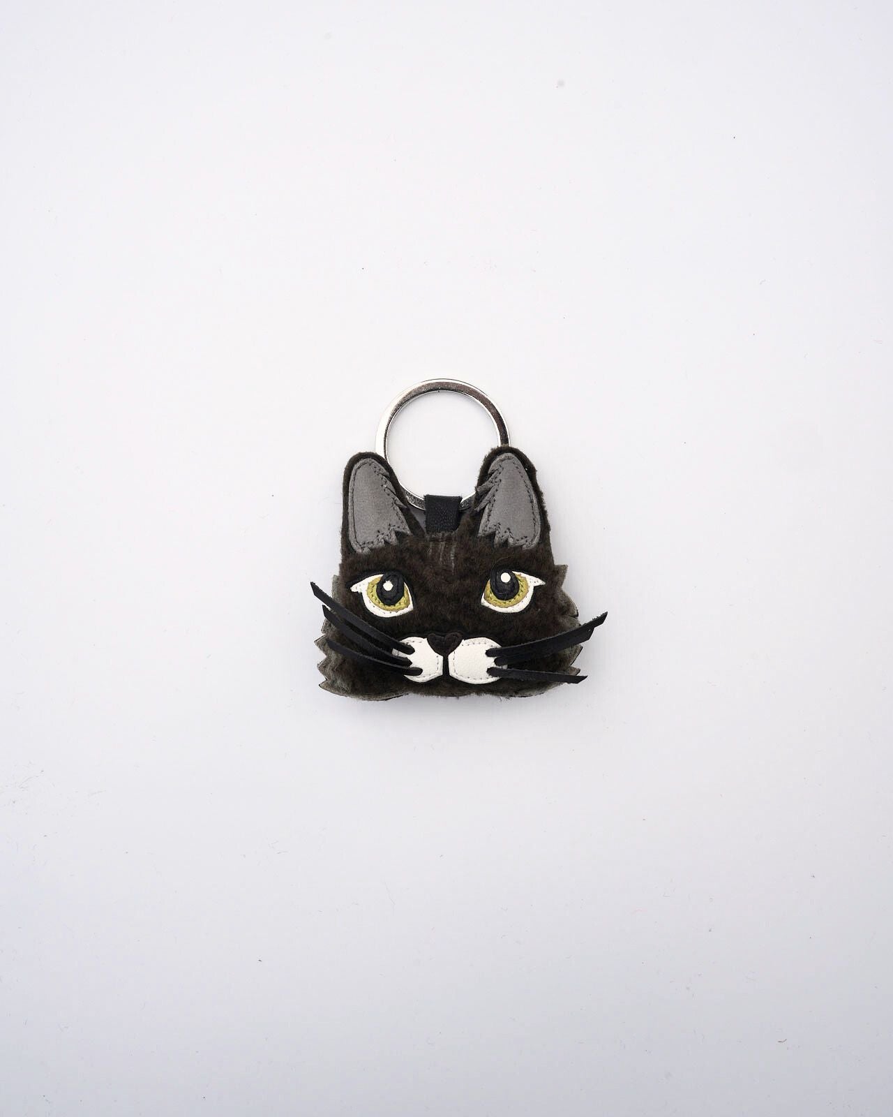 AGNELLE MAINE COON – Shinzone