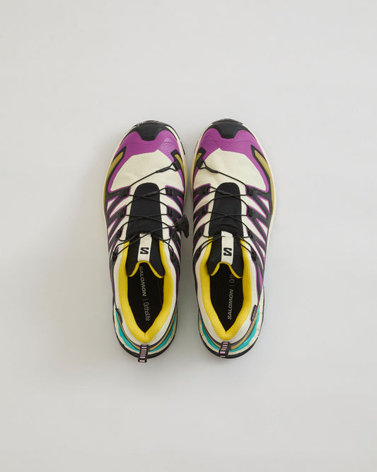 SALOMON XA PRO 3D V9 GTX W