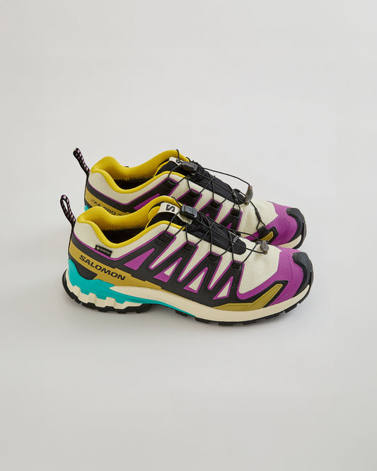 SALOMON XA PRO 3D V9 GTX W