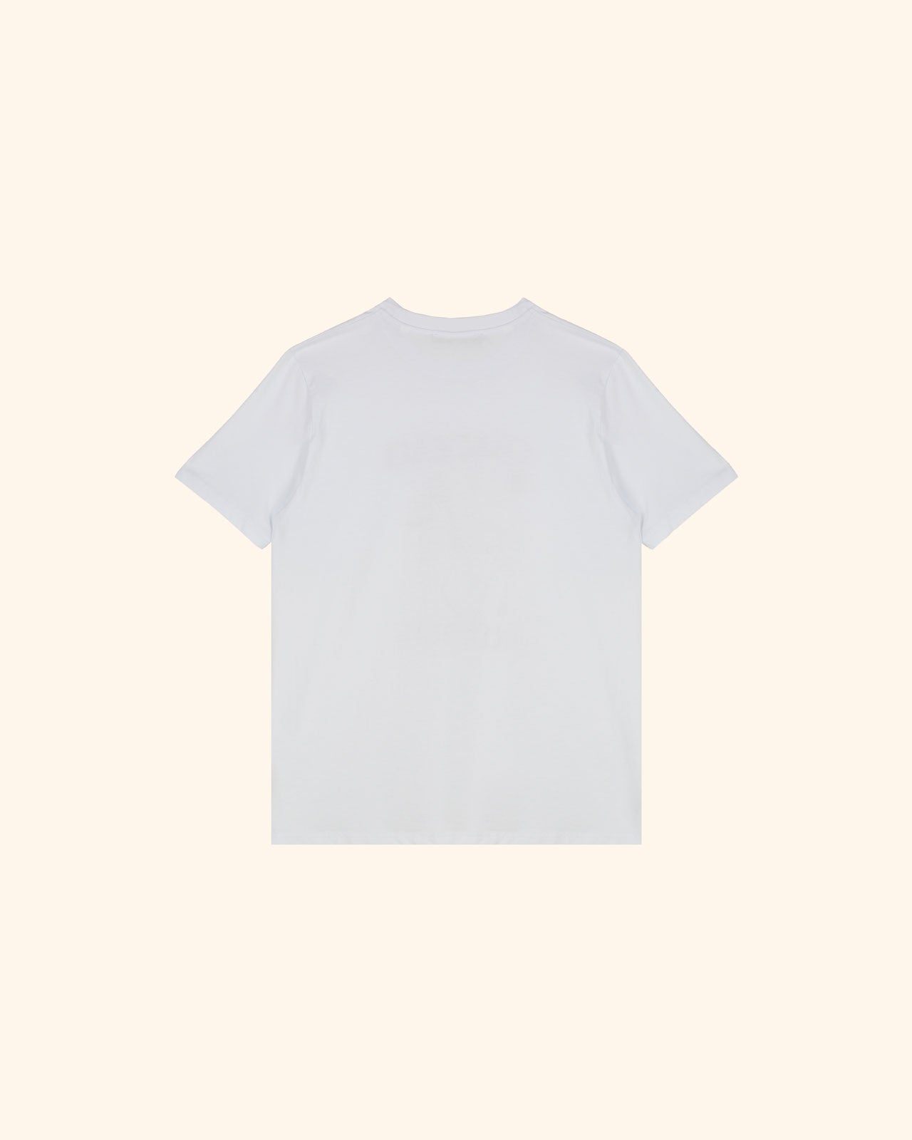 Chateau Orlando Storytelling T-shirt / Blossom Vase