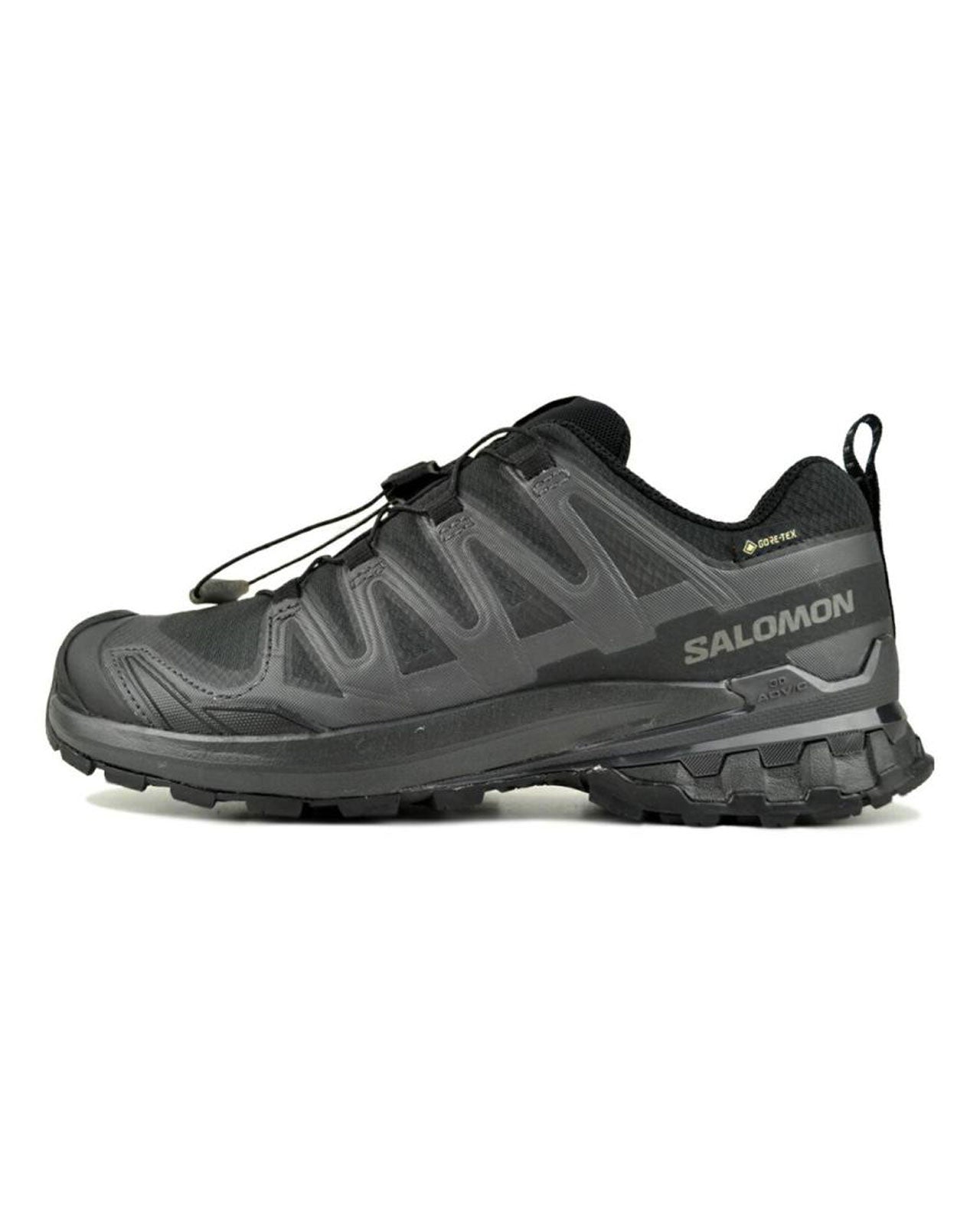 SALOMON XA PRO 3D V9 GTX W