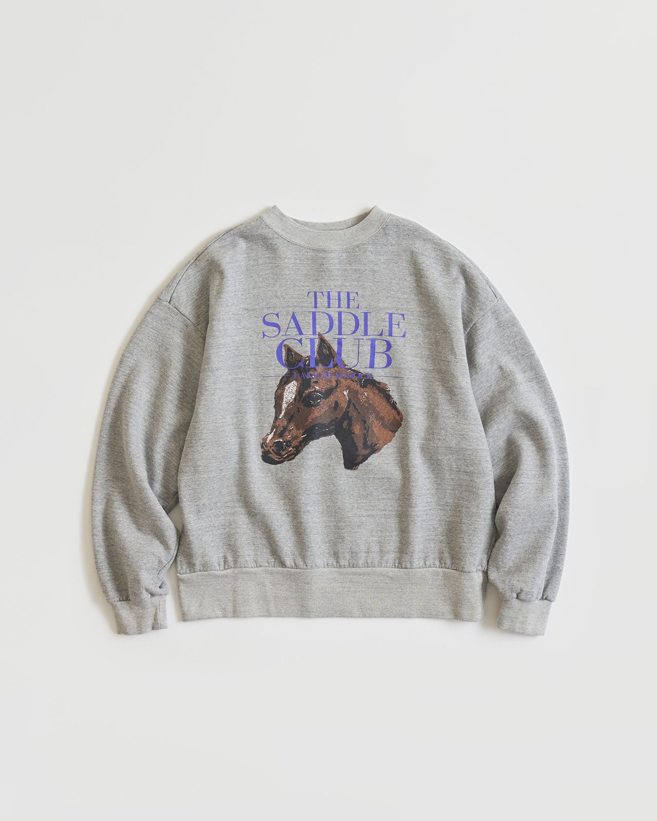 HORSE SWEAT