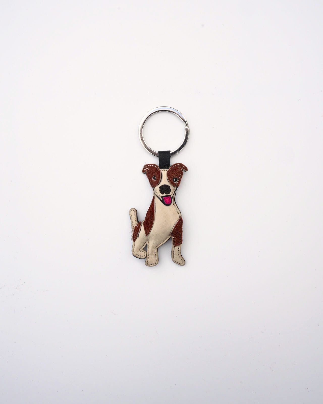 AGNELLE  JACK RUSSEL