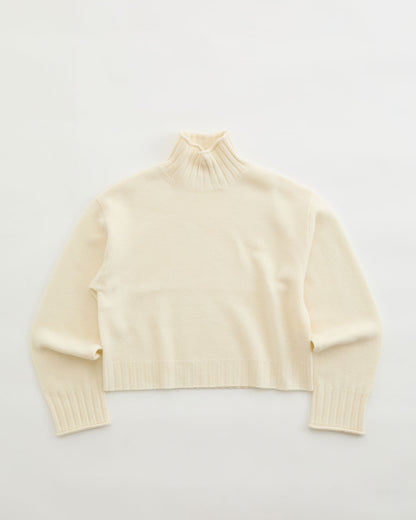 【11月中旬お届け】WOOL HIGH NECK KNIT