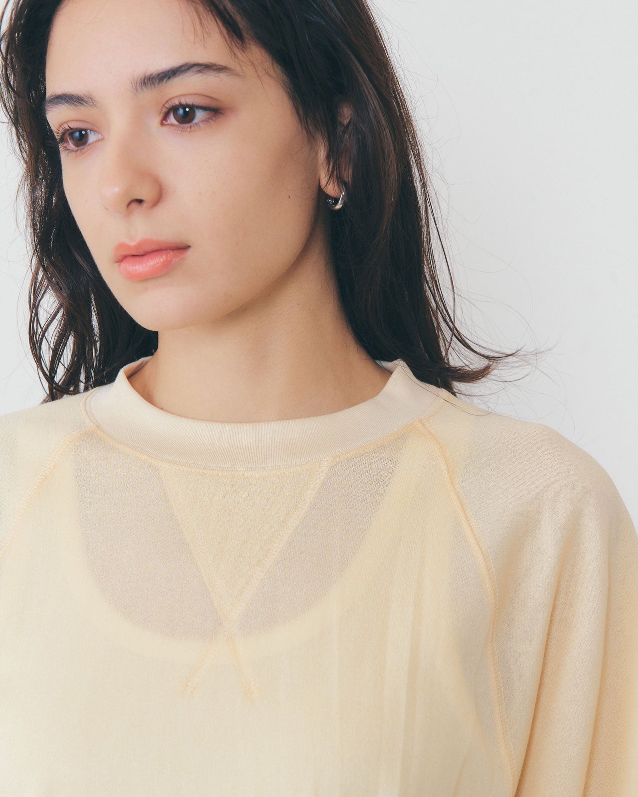 SHEER HALF SLEEVE SWEATSHIRT – Shinzone