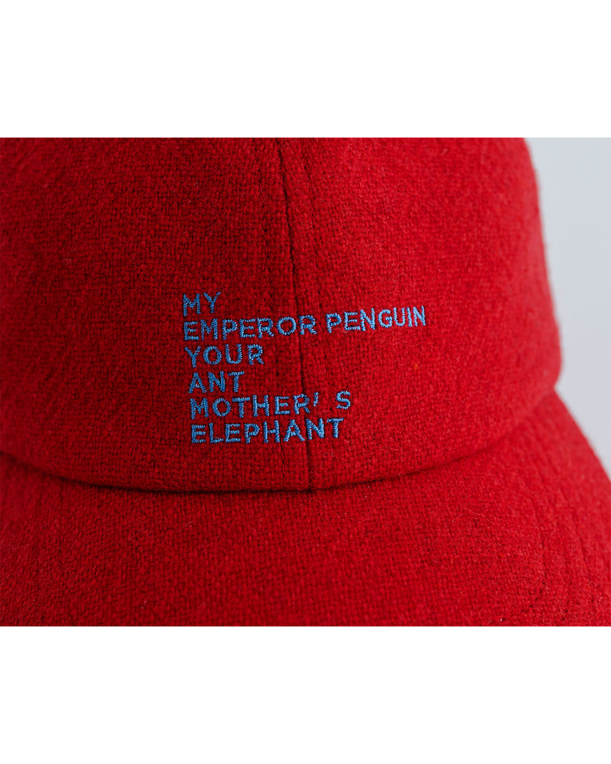 MEYAME WOOL EMBROIDELY CAP (TATEYOMI)