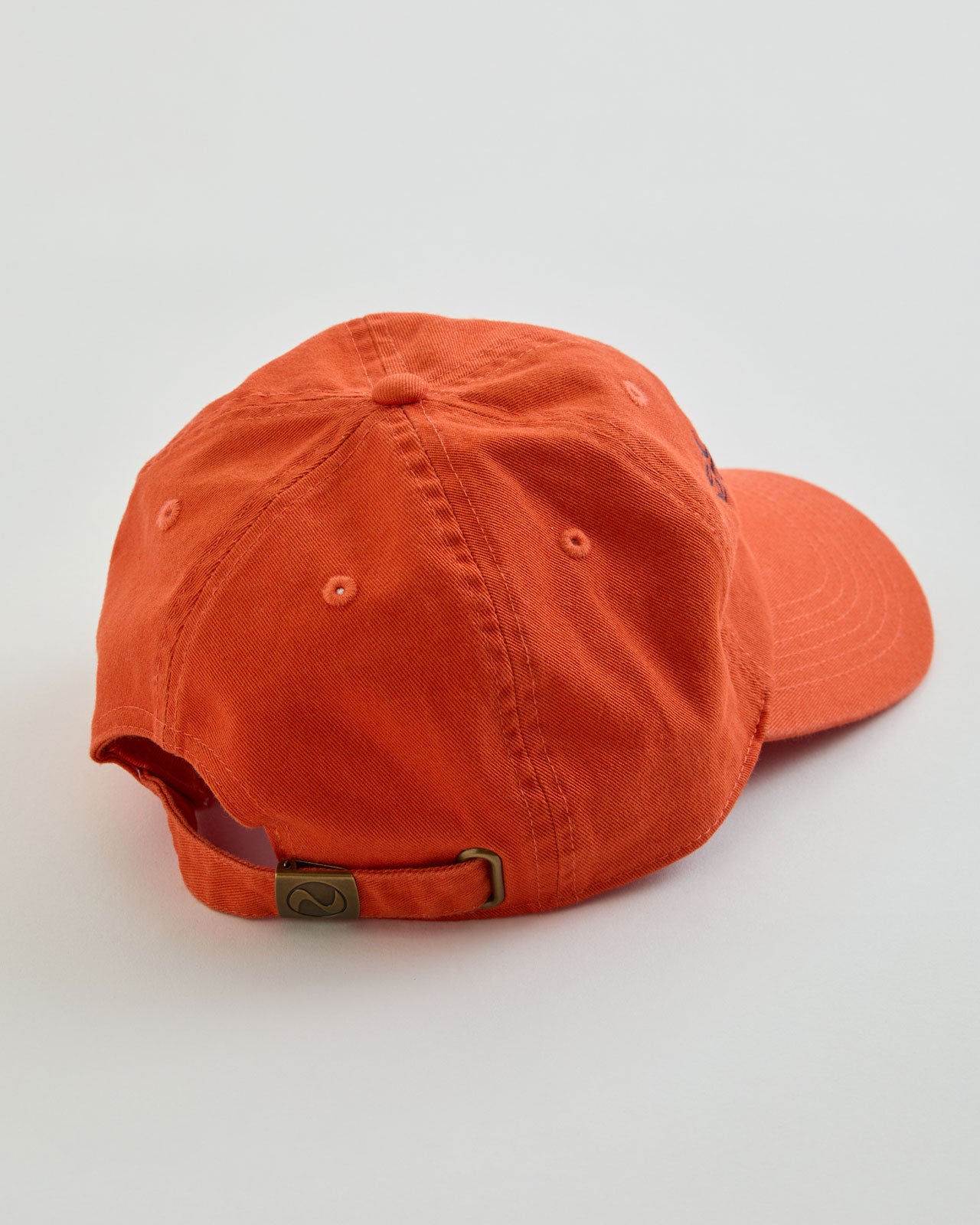 SLADOLED PARLOR CAP – Shinzone