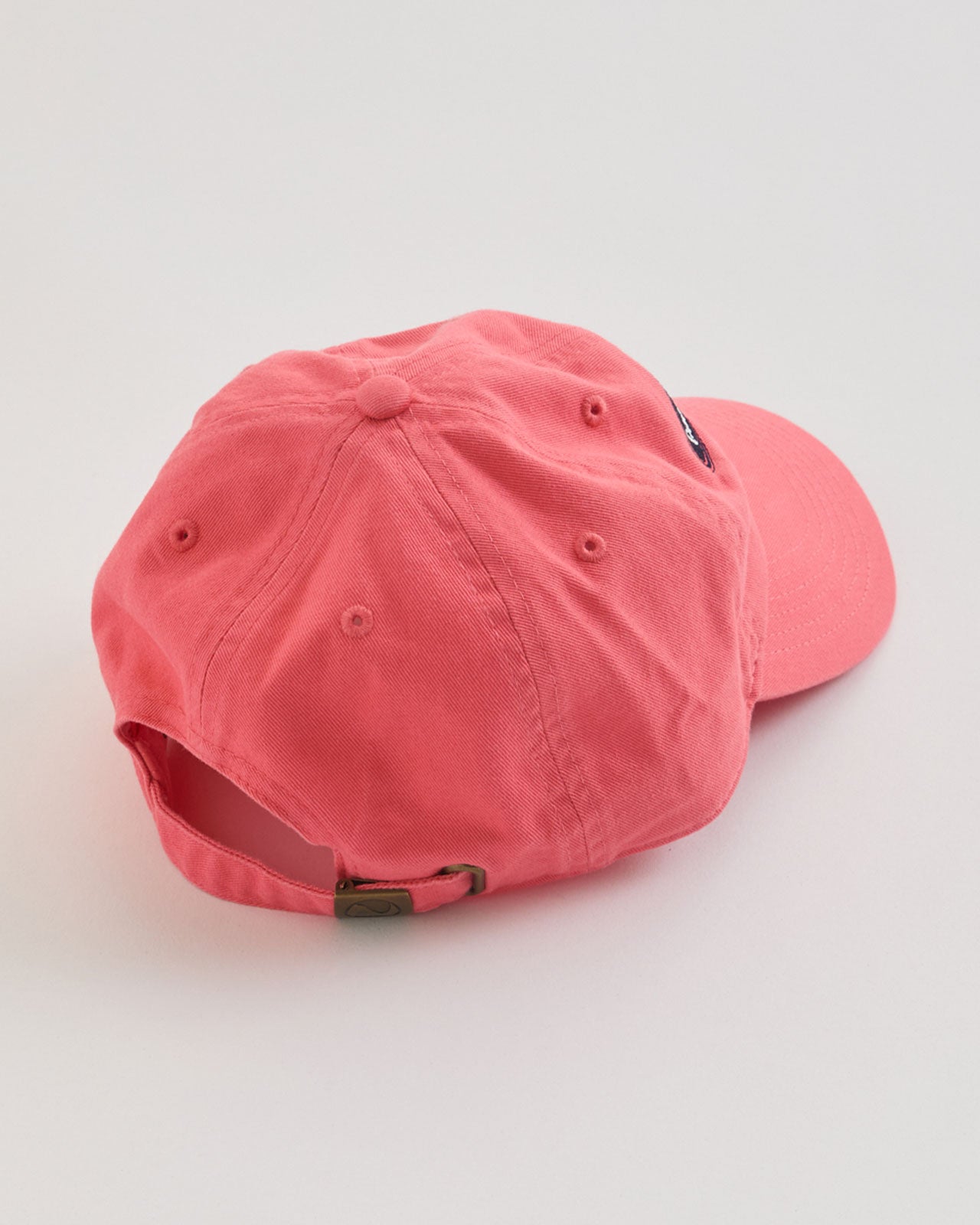 Good Luck & Have Fun CAP – Shinzone
