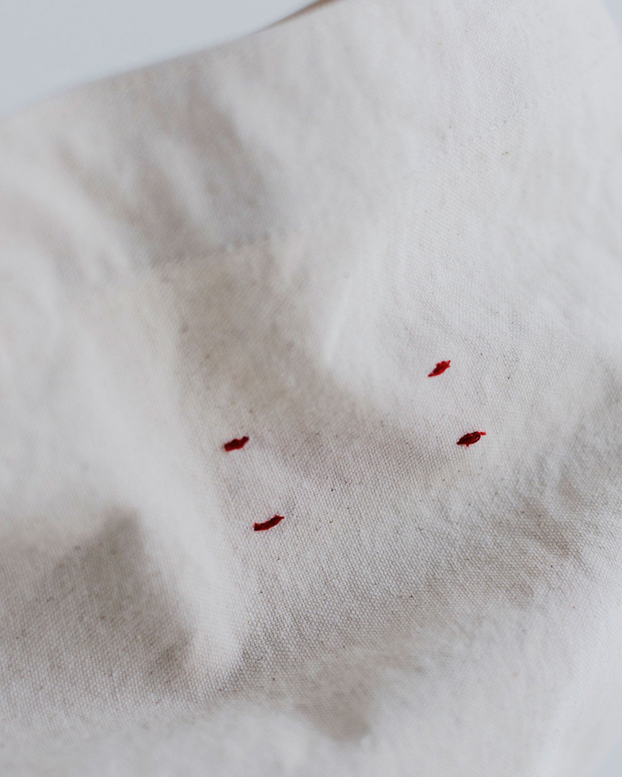 【MEYAME】CANVAS BIG TOTE